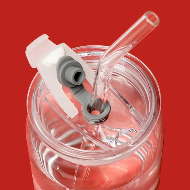 Niya Trendz Drinking Glasses Tumbler with Straw and Plastic Lids Can Glasses Sipper Bottle Mug (Pack Of 1)