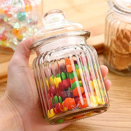 Niya Trendz Pop Glass Jar and Container (350 ML, 3Pcs) With Air-Tight Silicone